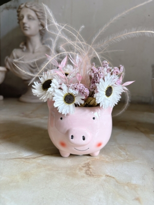 Piggy Pot