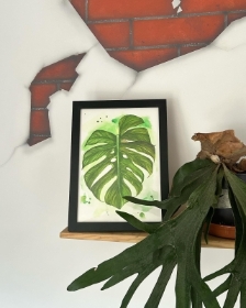 Monstera Water colour